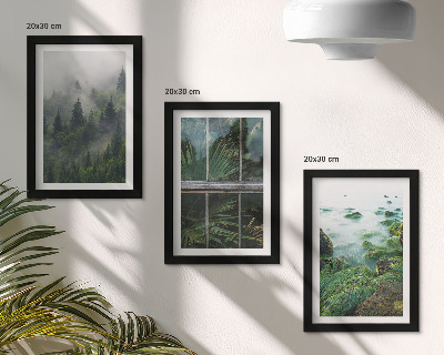 Gallery wall Een bos in de mist, een rivieroever en een kas met planten.