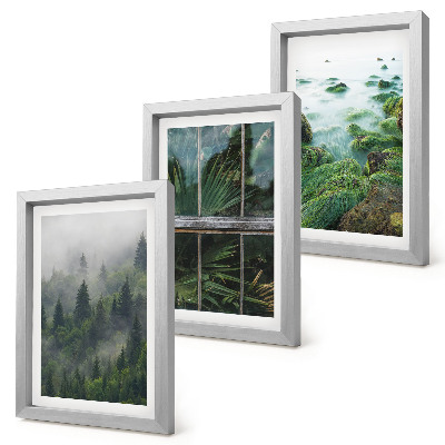Gallery wall Een bos in de mist, een rivieroever en een kas met planten.