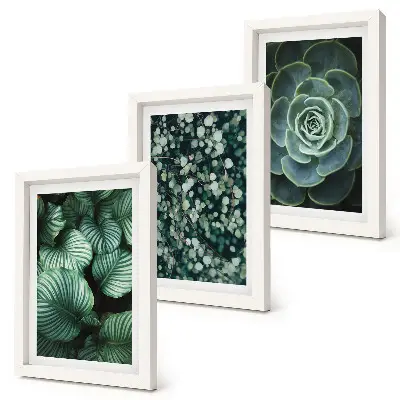 Gallery wall met groene bladplanten en stijlvolle vetplanten