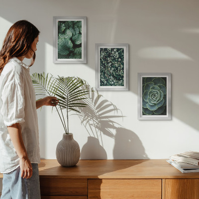 Gallery wall Groene bladplanten en stijlvolle vetplanten