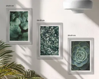 Gallery wall met groene bladplanten en stijlvolle vetplanten