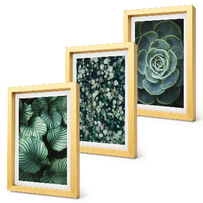 Gallery wall Groene bladplanten en stijlvolle vetplanten