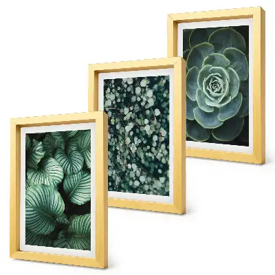 Gallery wall met groene bladplanten en stijlvolle vetplanten