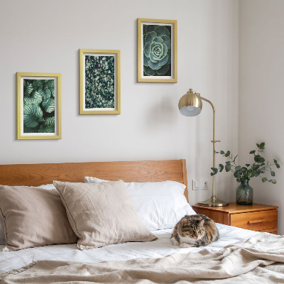 Gallery wall Groene bladplanten en stijlvolle vetplanten