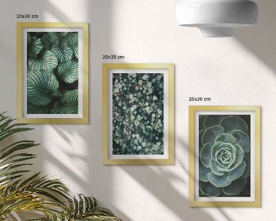 Gallery wall Groene bladplanten en stijlvolle vetplanten