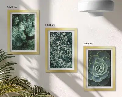 Gallery wall met groene bladplanten en stijlvolle vetplanten