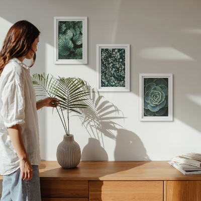 Gallery wall Groene bladplanten en stijlvolle vetplanten
