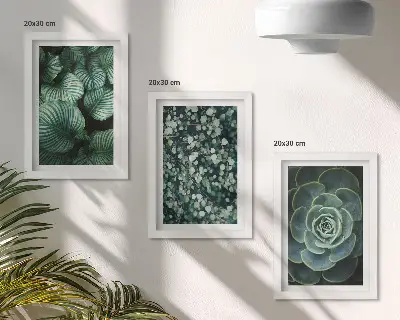 Gallery wall met groene bladplanten en stijlvolle vetplanten