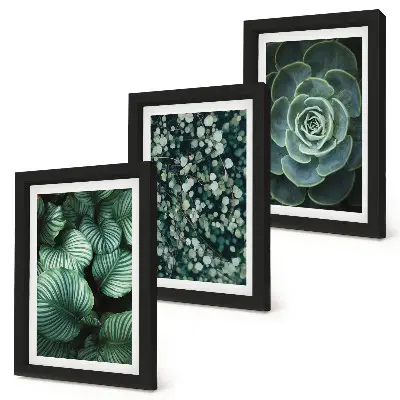 Gallery wall met groene bladplanten en stijlvolle vetplanten