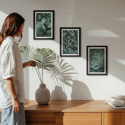 Gallery wall Groene bladplanten en stijlvolle vetplanten