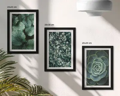 Gallery wall met groene bladplanten en stijlvolle vetplanten