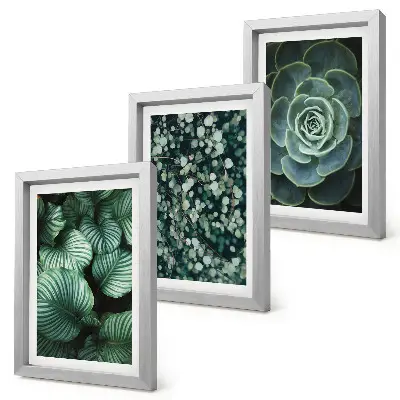 Gallery wall met groene bladplanten en stijlvolle vetplanten