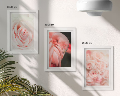 Set van ingelijste schilderijen Pastelroze en flamingo's in delicate tinten.
