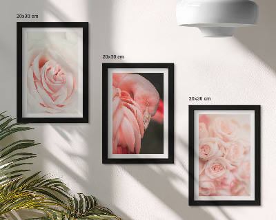 Set van ingelijste schilderijen Pastelroze en flamingo's in delicate tinten.