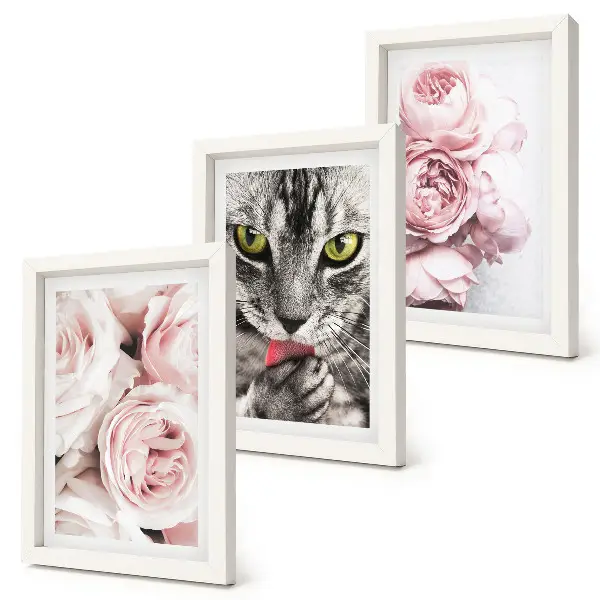 Set ingelijste schilderijen met een kat tussen roze rozen en pioenrozen