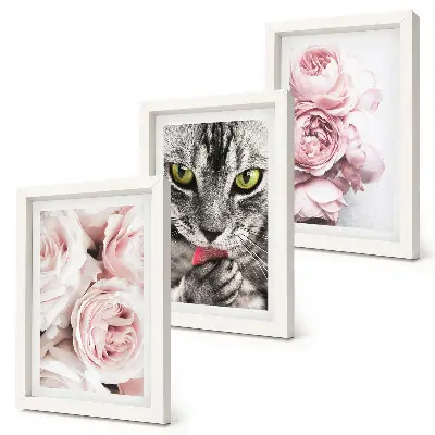 Set ingelijste schilderijen met een kat tussen roze rozen en pioenrozen