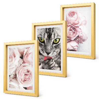 Set van ingelijste schilderijen Een kat tussen roze rozen en pioenrozen.