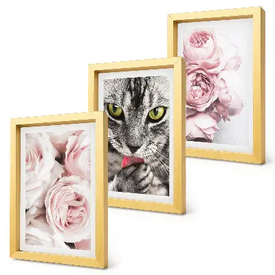 Set ingelijste schilderijen met een kat tussen roze rozen en pioenrozen