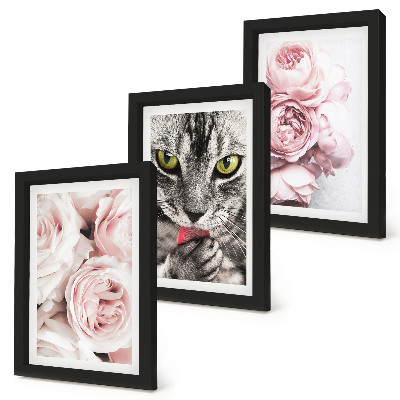 Set van ingelijste schilderijen Een kat tussen roze rozen en pioenrozen.