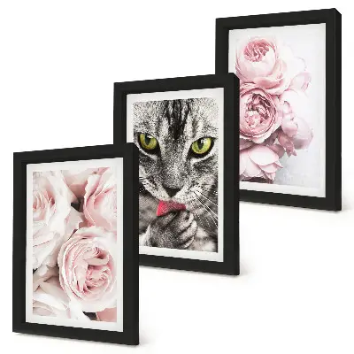Set ingelijste schilderijen met een kat tussen roze rozen en pioenrozen