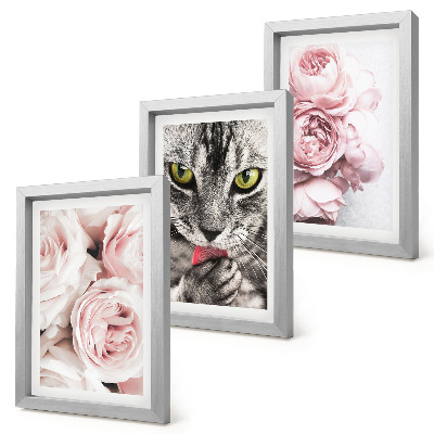Set van ingelijste schilderijen Een kat tussen roze rozen en pioenrozen.