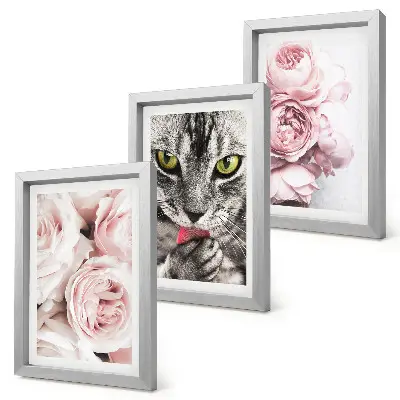 Set ingelijste schilderijen met een kat tussen roze rozen en pioenrozen