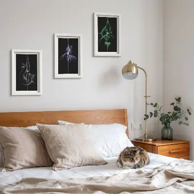 Gallery wall met abstracte patronen in zwart- en kleurtinten