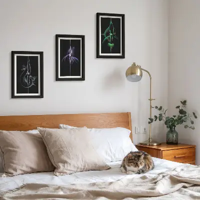 Gallery wall met abstracte patronen in zwart- en kleurtinten