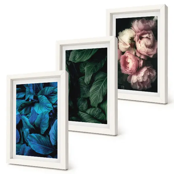 Set ingelijste schilderijen met bladeren en bloemen in verschillende kleuren