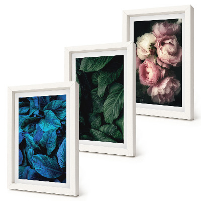 Set van ingelijste schilderijen Bladeren en bloemen in verschillende kleuren