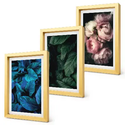 Set ingelijste schilderijen met bladeren en bloemen in verschillende kleuren