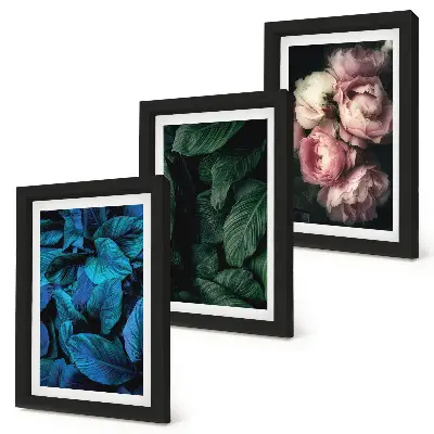 Set ingelijste schilderijen met bladeren en bloemen in verschillende kleuren