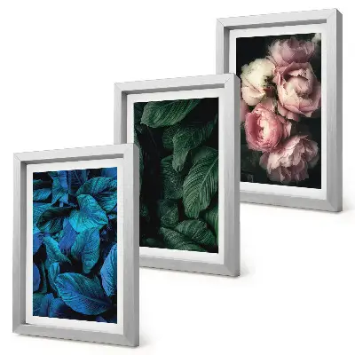 Set ingelijste schilderijen met bladeren en bloemen in verschillende kleuren