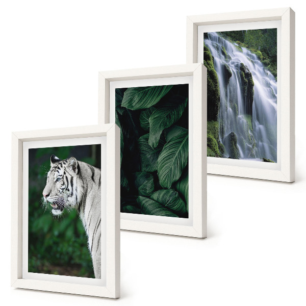 Gallery wall Witte tijgerbladeren en een waterval in een natuurlijke omgeving