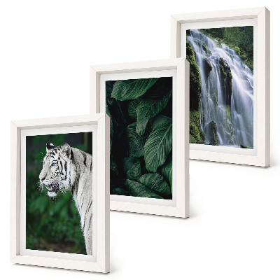 Gallery wall Witte tijgerbladeren en een waterval in een natuurlijke omgeving