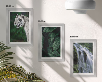 Gallery wall Witte tijgerbladeren en een waterval in een natuurlijke omgeving