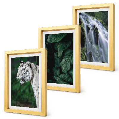 Gallery wall Witte tijgerbladeren en een waterval in een natuurlijke omgeving