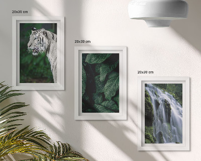 Gallery wall Witte tijgerbladeren en een waterval in een natuurlijke omgeving