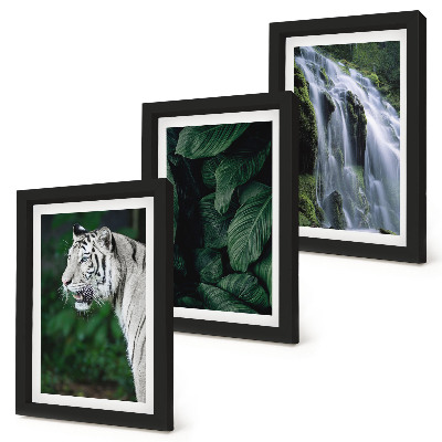 Gallery wall Witte tijgerbladeren en een waterval in een natuurlijke omgeving