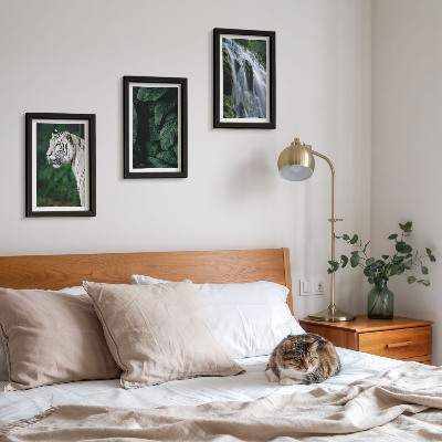 Gallery wall Witte tijgerbladeren en een waterval in een natuurlijke omgeving