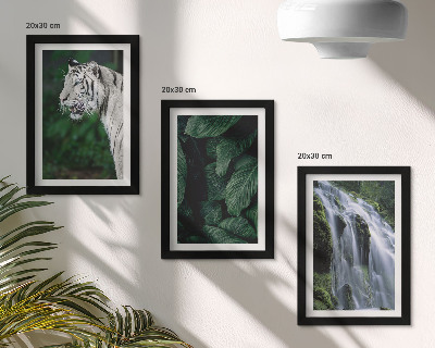 Gallery wall Witte tijgerbladeren en een waterval in een natuurlijke omgeving