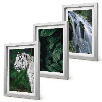 Gallery wall Witte tijgerbladeren en een waterval in een natuurlijke omgeving