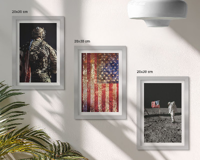 Set van ingelijste schilderijen Amerikaanse nationale symbolen, de vlag van de VS