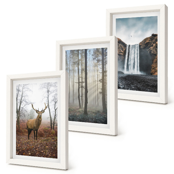 Gallery wall Boslandschappen, wilde natuur, herten