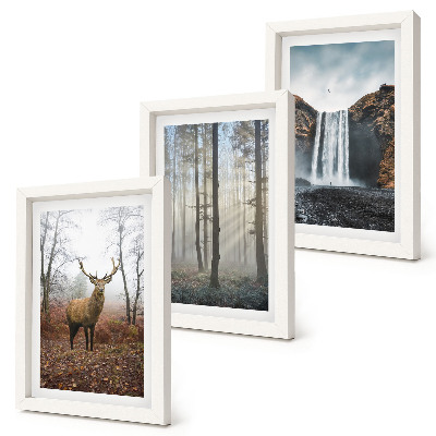 Gallery wall Boslandschappen, wilde natuur, herten
