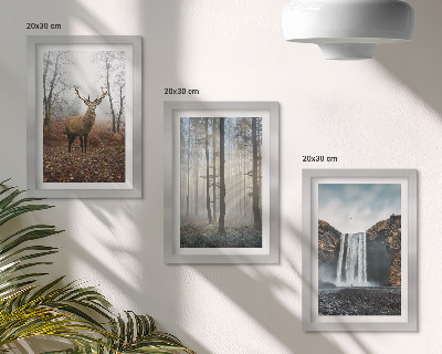 Gallery wall Boslandschappen, wilde natuur, herten