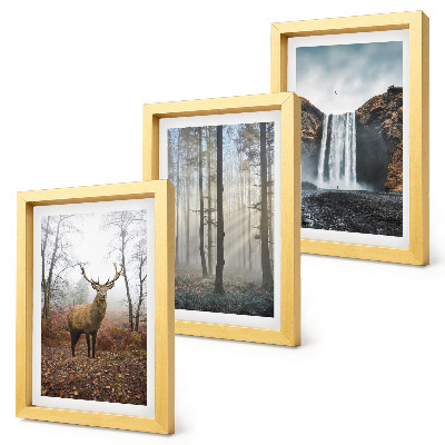 Gallery wall Boslandschappen, wilde natuur, herten