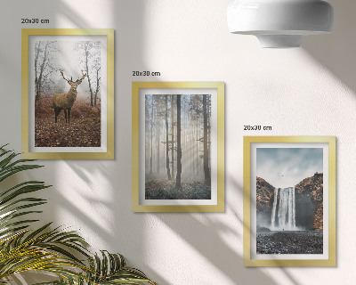 Gallery wall Boslandschappen, wilde natuur, herten