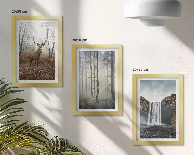 Gallery wall met boslandschappen, wilde natuur en herten