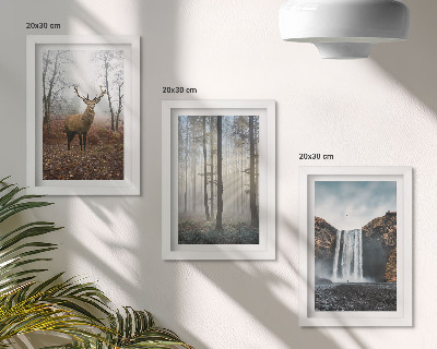 Gallery wall Boslandschappen, wilde natuur, herten